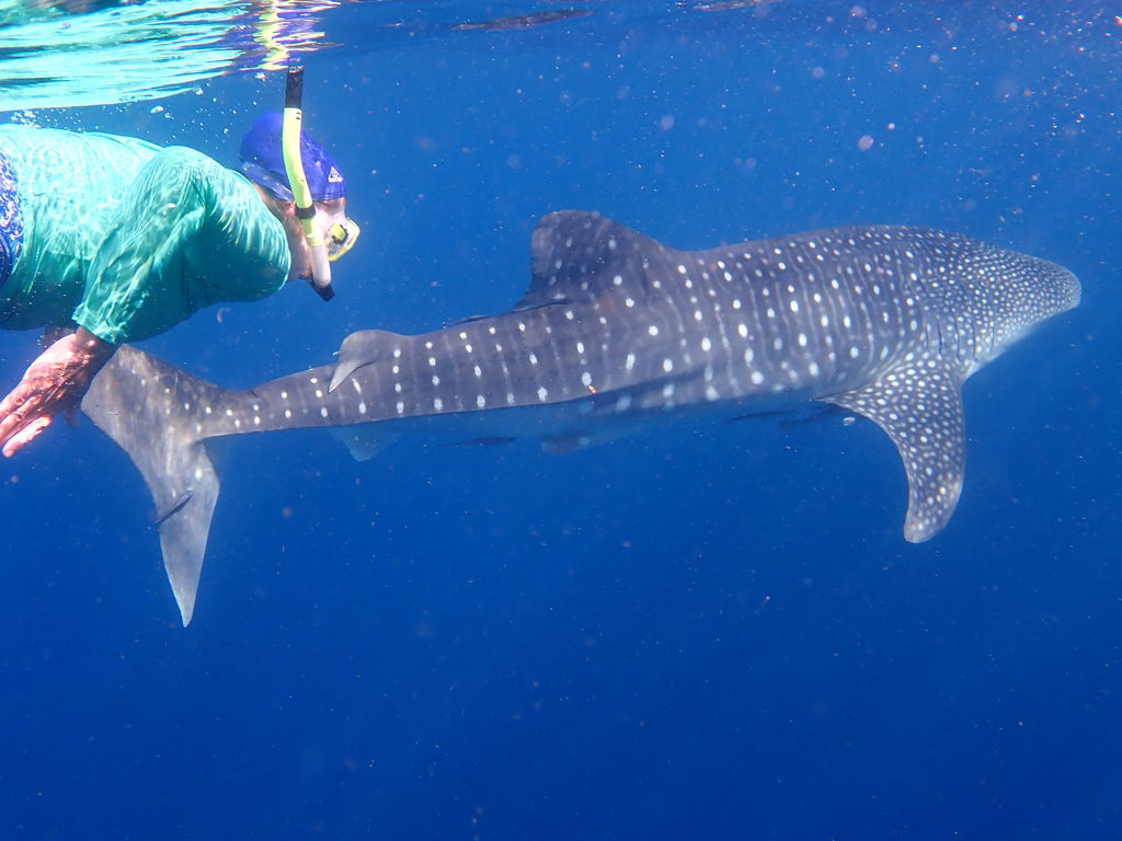 ec861836-069d-4ee6-a81e-dce849123047