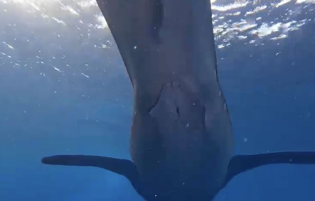 4081bd7d-5a82-46c1-83c9-7456e1a219d8