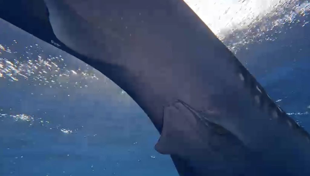 4081bd7d-5a82-46c1-83c9-7456e1a219d8