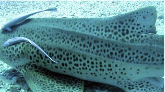 1ee73e93-0ce1-4d1b-901b-009d9a61ecb0