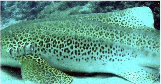 581dc8cf-63d8-48e1-b2a6-5c383c0fcf05