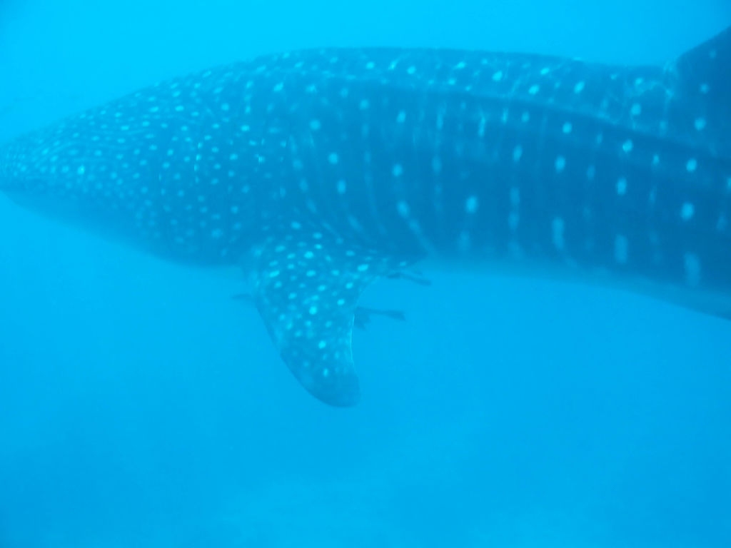 c4841e36-fffa-412f-bfc5-052cd17b7afd