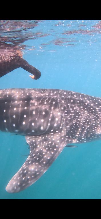 e12a9459-7afc-436c-a4ab-0f400b0b27e9