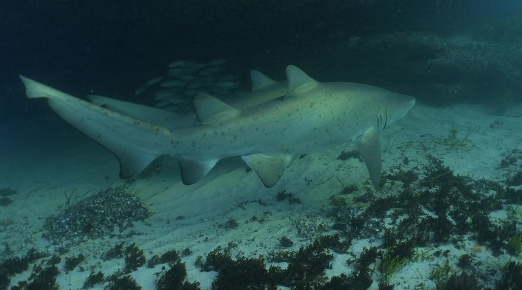 9dca47ef-036b-45b3-88bd-30682dc6fab4