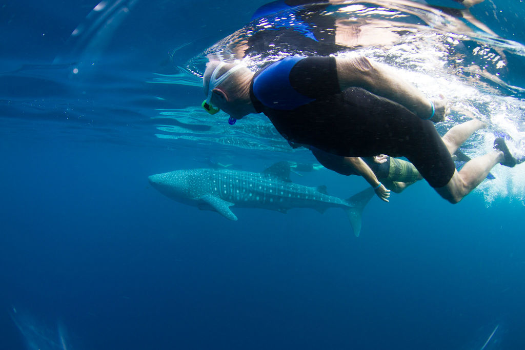 38d330a7-8bf0-496c-abef-6b4a0b474310