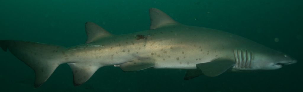 10611dd1-978c-43c9-b373-3aecaca9e822