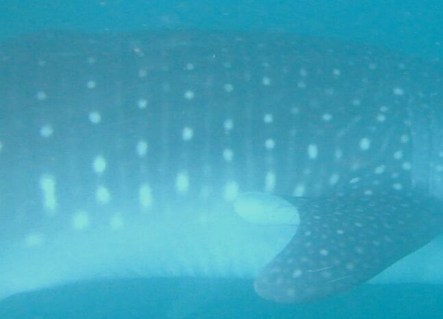 686ac81a-96cc-47b5-ba6a-a44eb341ab2e