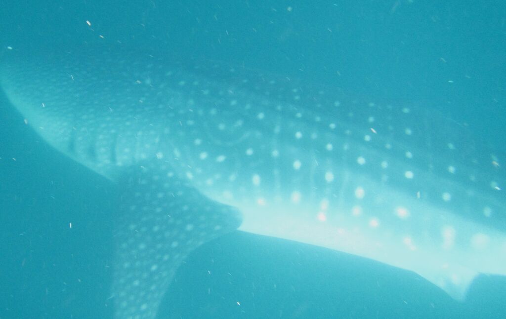 686ac81a-96cc-47b5-ba6a-a44eb341ab2e