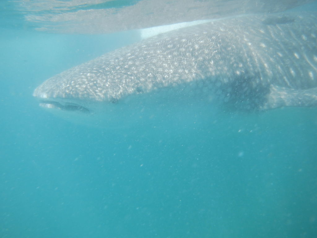 75369eb1-9659-4903-92a4-d0be01ed5aa4