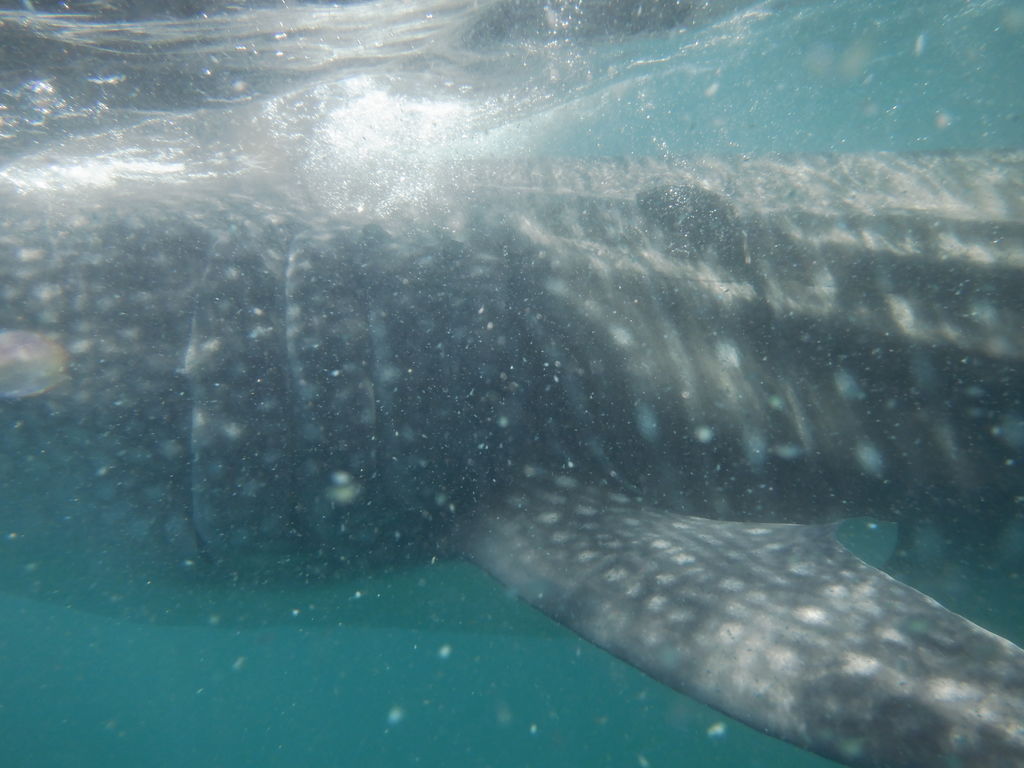 75369eb1-9659-4903-92a4-d0be01ed5aa4