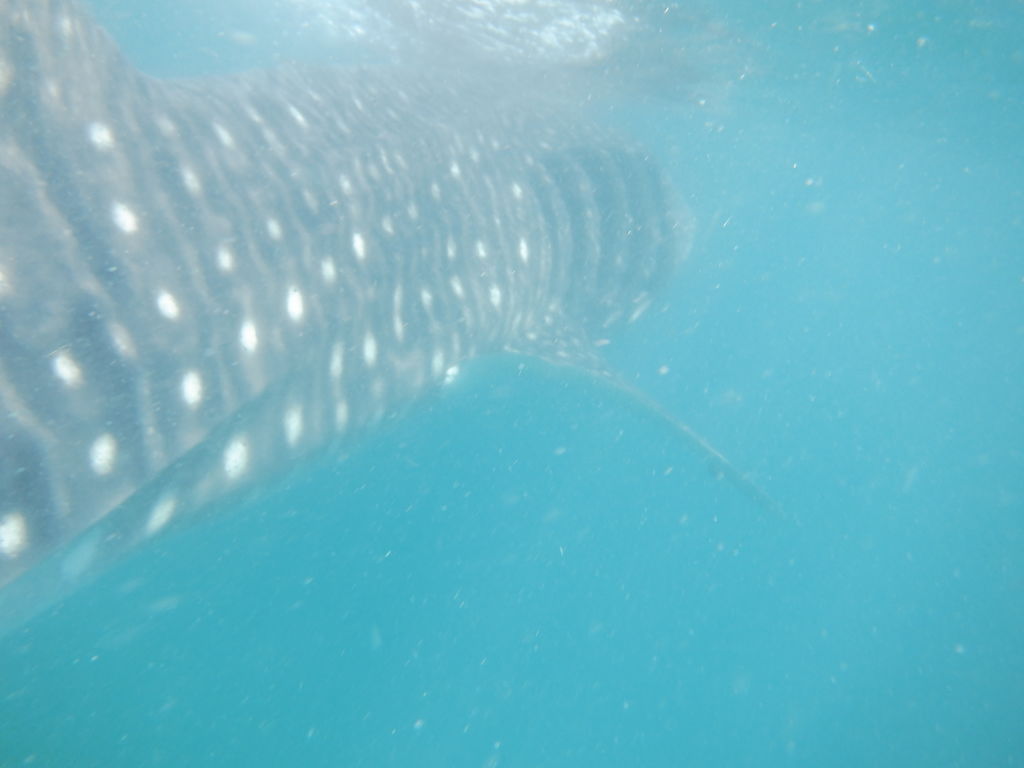 75369eb1-9659-4903-92a4-d0be01ed5aa4