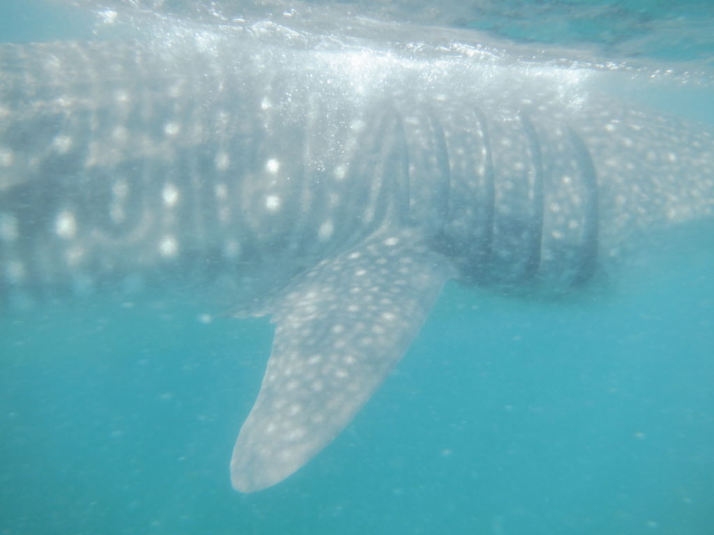 75369eb1-9659-4903-92a4-d0be01ed5aa4