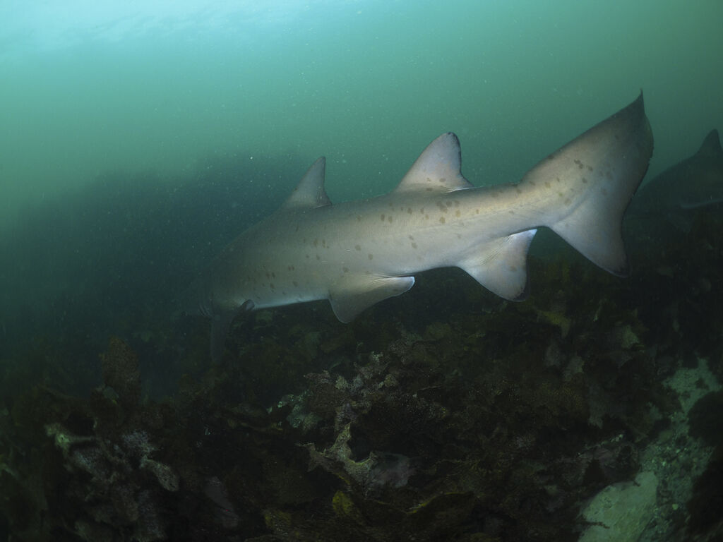 e2cfbfd1-ad2c-4cad-bd6f-710e1b7fd156