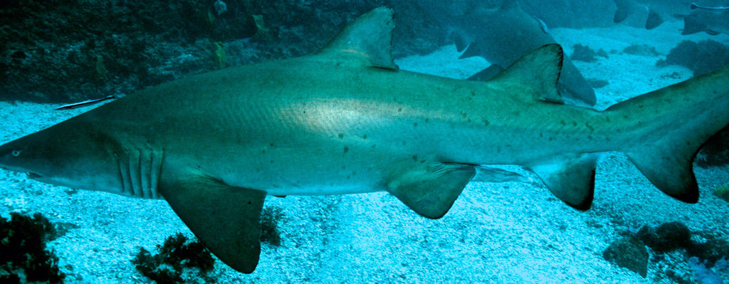 88636bb4-2505-48bd-8f71-eaefcaa36175