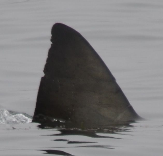 0fd66551-0b20-4e9f-ad9a-1a4b2db8fe83