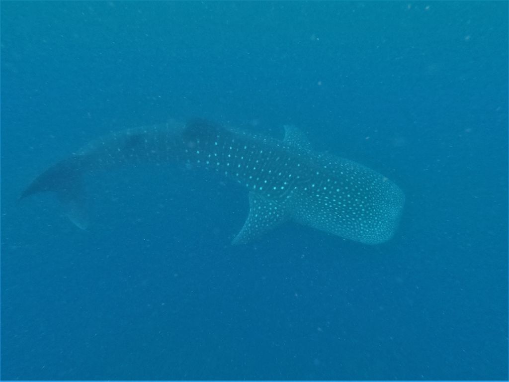 05c69e44-1ab5-45d1-8718-837259dad690