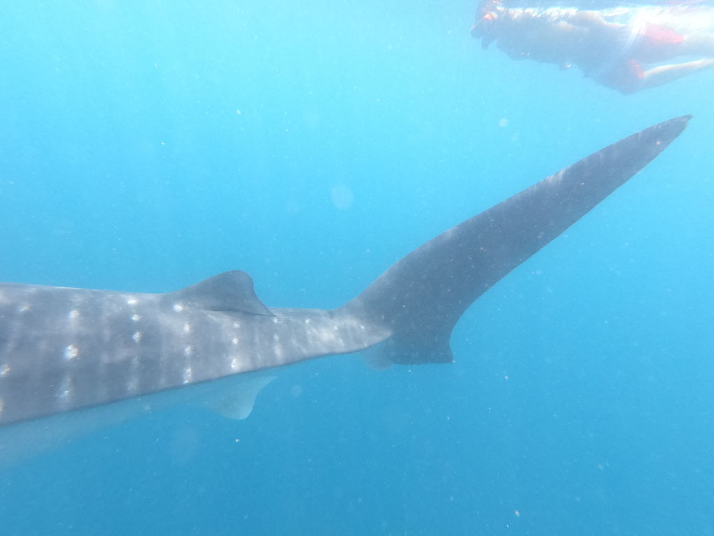 05c69e44-1ab5-45d1-8718-837259dad690