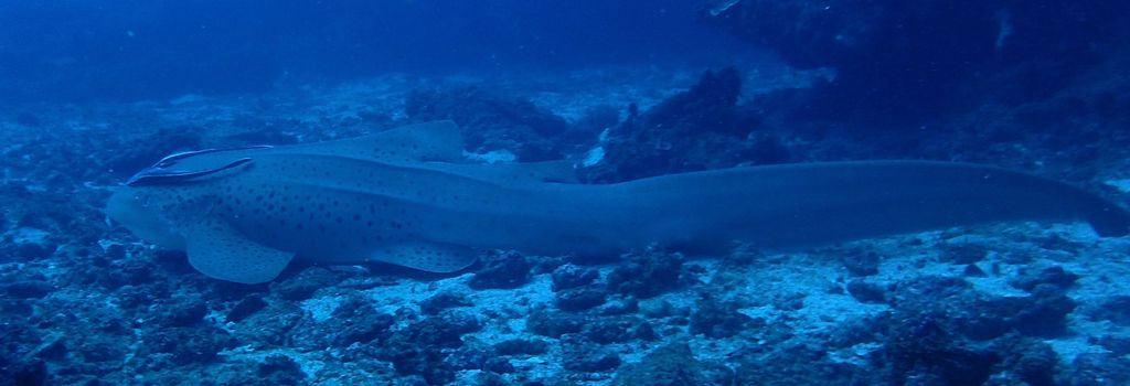 3a5ded30-b649-4d42-97a0-1bafef8bb9a1