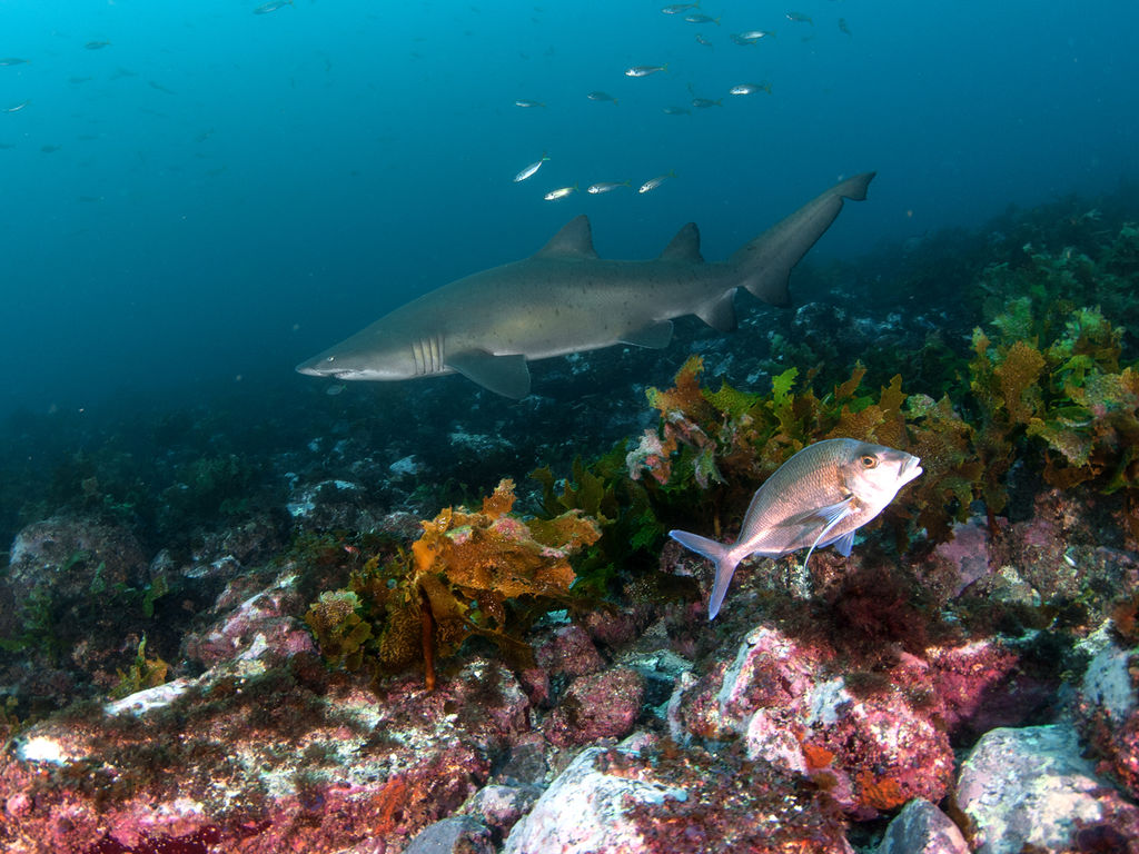 8072e4d6-be15-4db0-8307-e158d65b0505