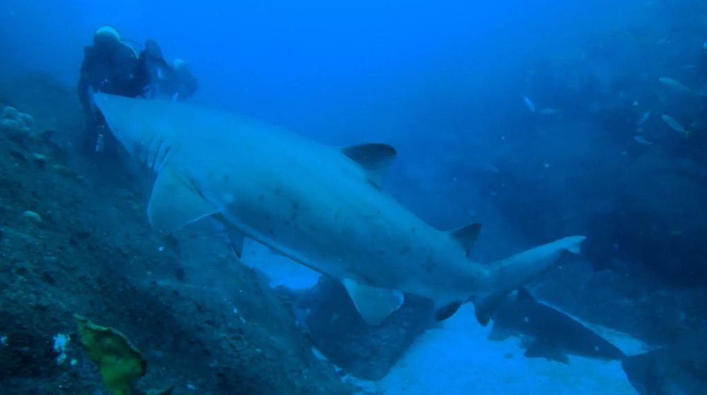 9367b118-dd1d-4f6c-bf6f-69671f01c09e