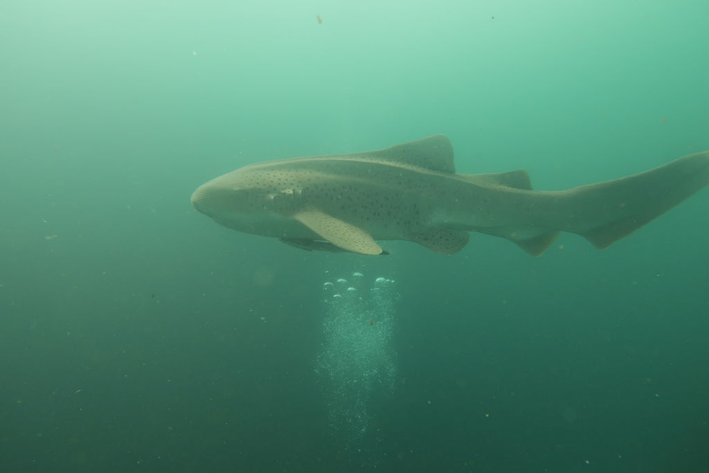 3def672b-08d7-4f4f-bfd6-25b44cb57751