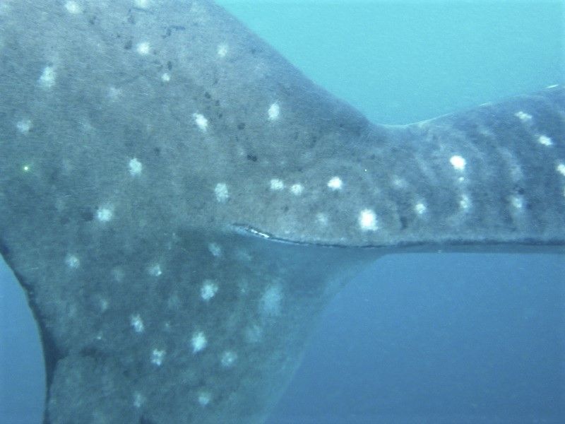 f8e29ba7-200b-445d-a226-b18b29d98624