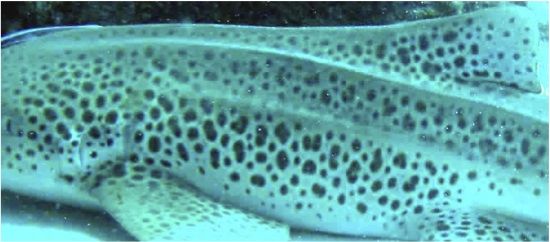 c59fe606-484f-4e43-9877-956129b90628