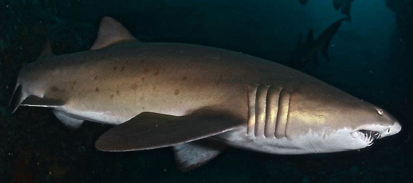 d1c60b20-c657-40d6-8376-2e269a4b6c8a