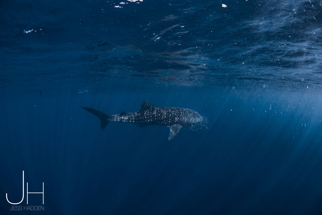 7b40b306-8211-4e54-9b5f-62c301952331