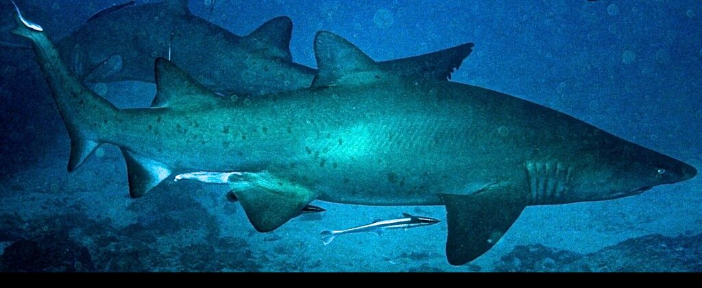 ce0857d2-15bc-4a35-b3d5-f97356aa4d88