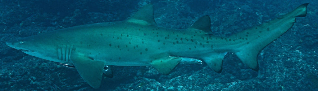 5f280d4f-c90e-4e0a-a13e-e89d5579fcaf