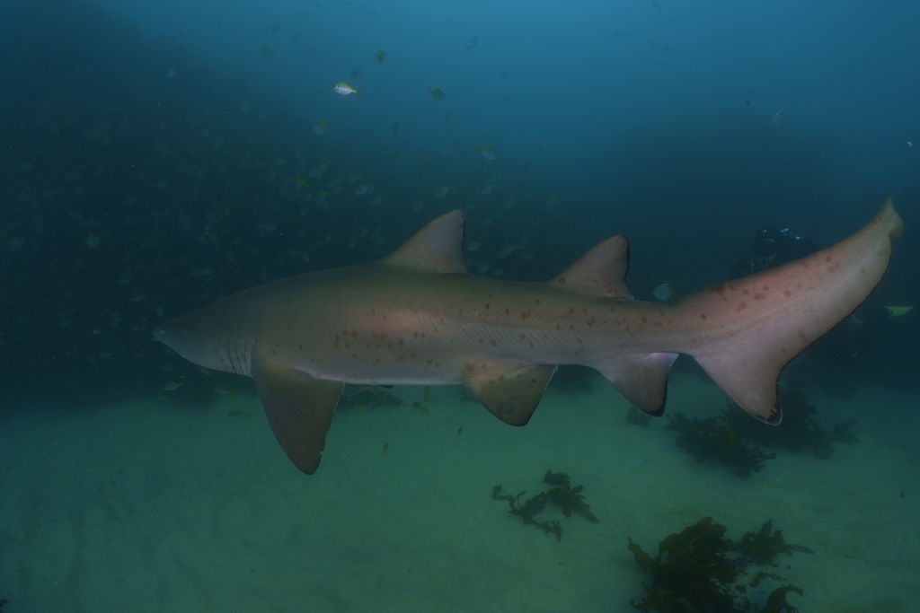 ccd089c5-a274-4218-9d03-74c950f99782