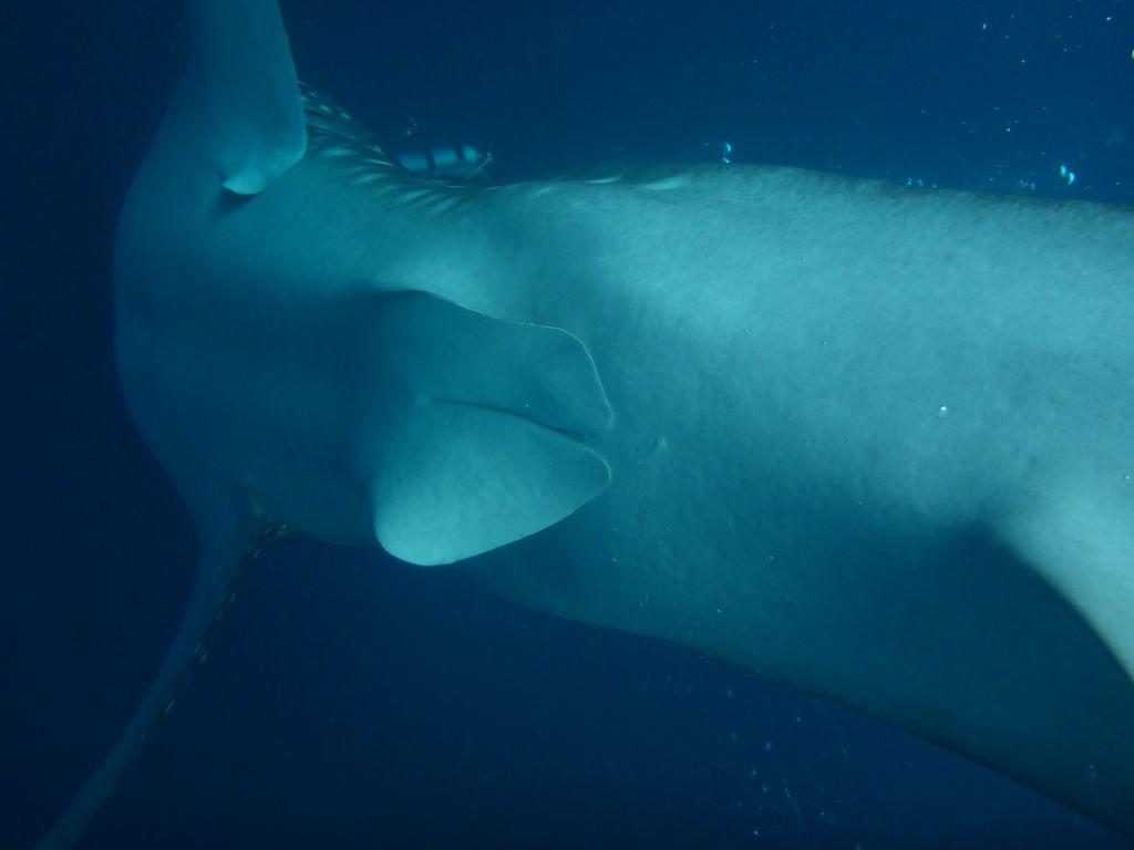 f2089ef6-3446-4003-aa26-e94445aa1593