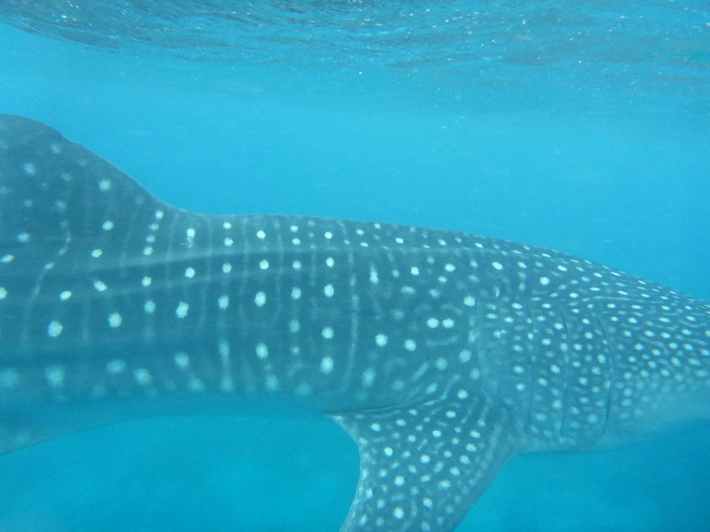 f2089ef6-3446-4003-aa26-e94445aa1593