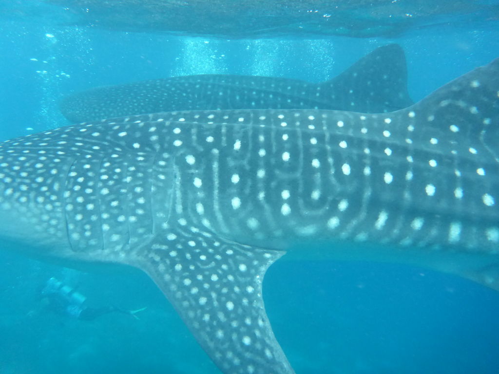 f2089ef6-3446-4003-aa26-e94445aa1593