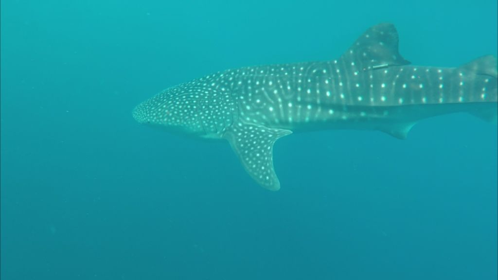 e5d7bd95-9783-4791-a71f-1e2b515e077f