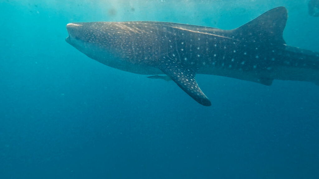 afc84618-ff22-4f92-9c01-aa88f08ed4eb