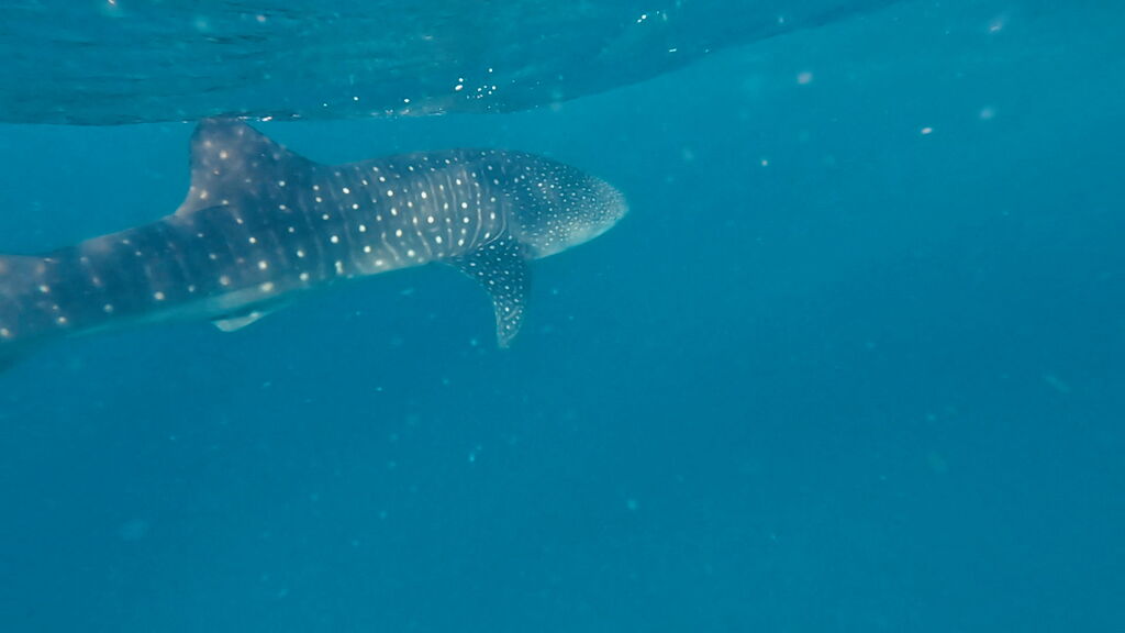 afc84618-ff22-4f92-9c01-aa88f08ed4eb