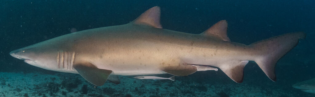 3e56c7ed-c568-40f6-81b6-f7a32513b989