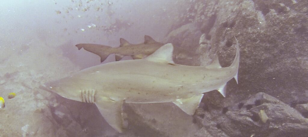 9d3ece1b-b79b-407a-86a8-62e277a10a24