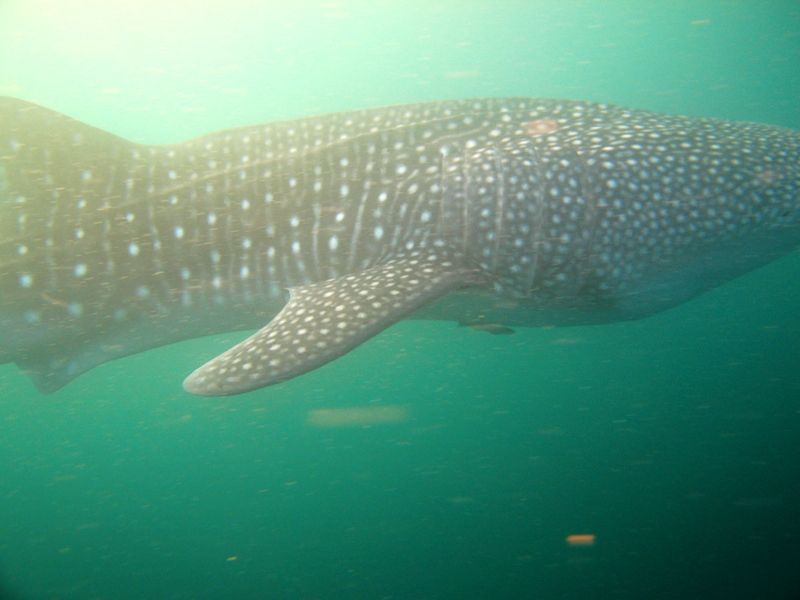 08dc86fc-12b5-478f-8385-274775a8630c