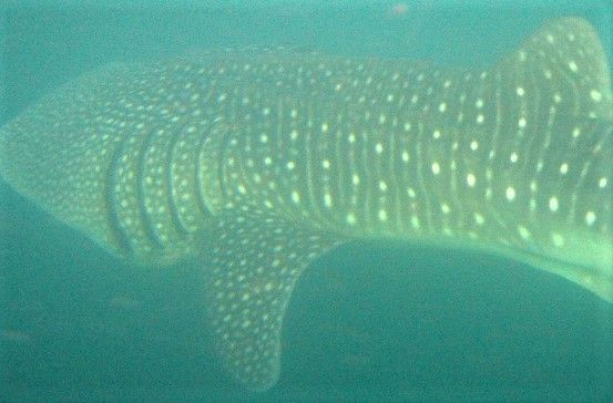 08dc86fc-12b5-478f-8385-274775a8630c