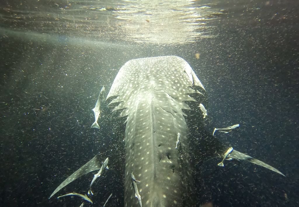 32dff4f4-36e7-4533-bc45-cd2dec77a791