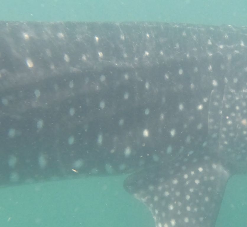 cbed03fc-41e4-4410-a799-048c76c7fa08