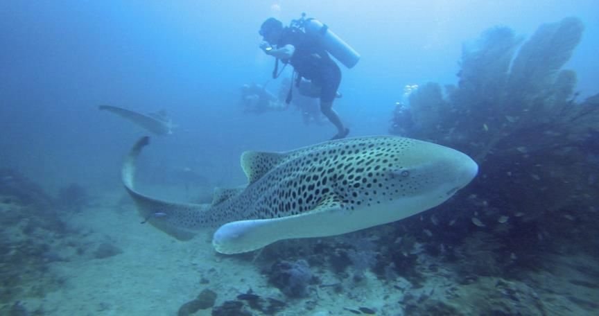 e8db6b52-ced5-4622-bd23-80420fb04af1