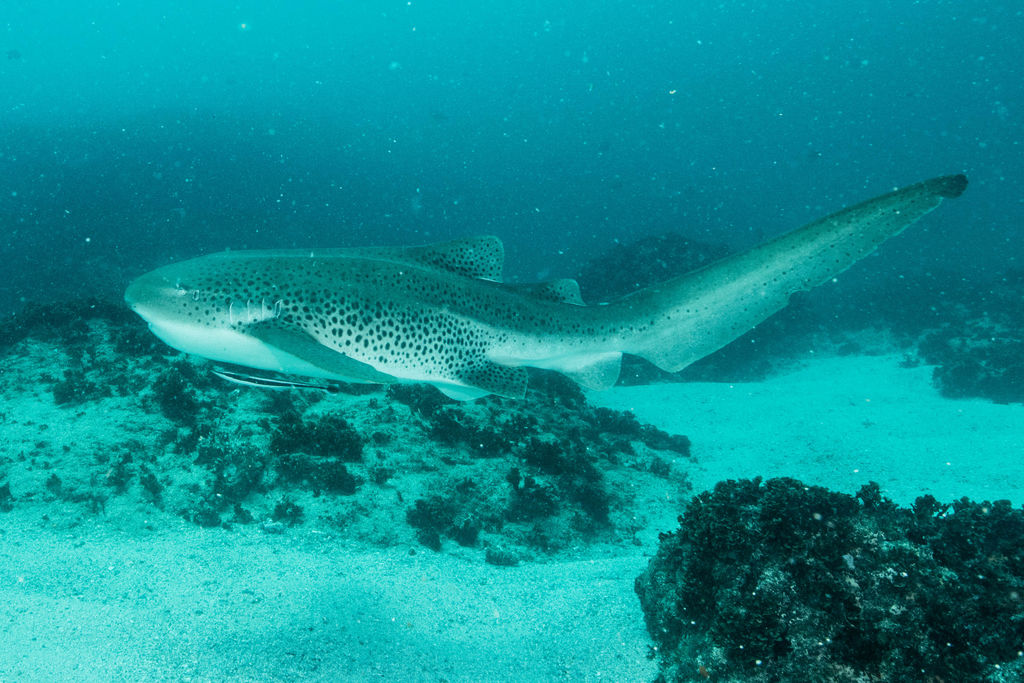 1d4ba718-9366-4672-a48a-337b716a47ca