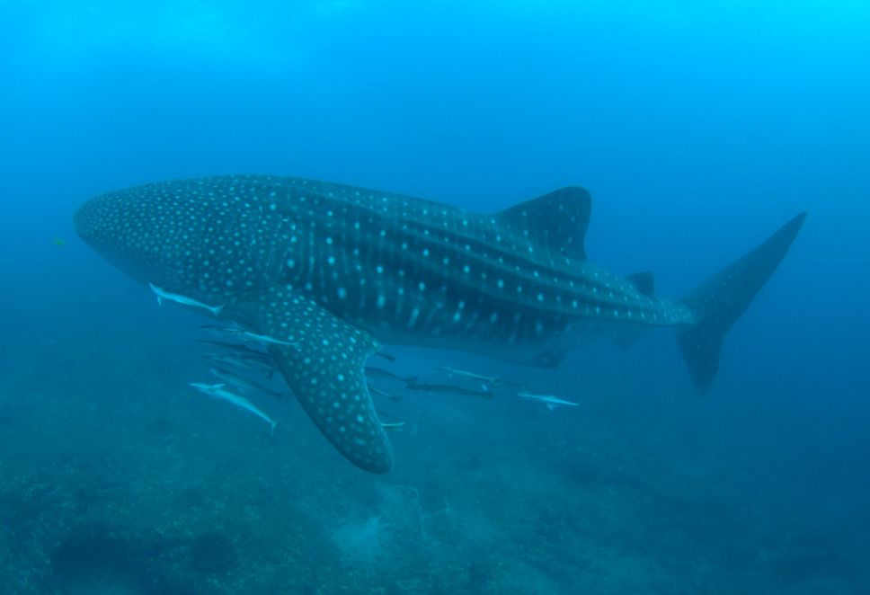 6dccbd5e-4c43-4f3e-8565-747140cdf19e