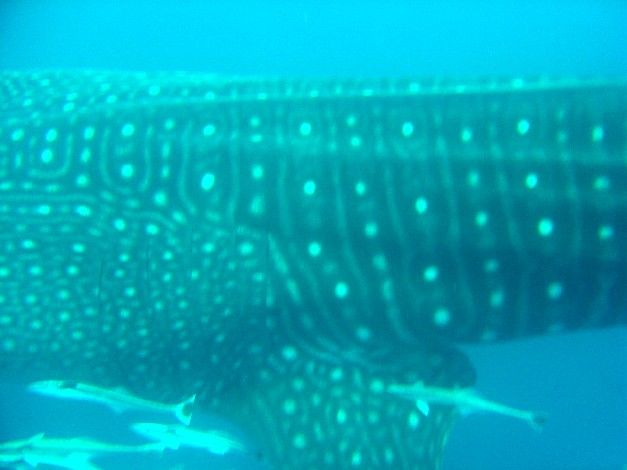 9db1ab97-34f9-4d64-a757-958321efbcc2