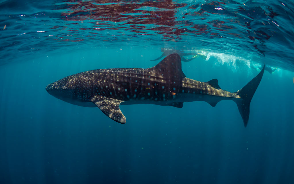 3065d701-57ae-40e1-99a0-5eec553eedc9