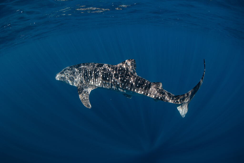 f77d6df5-3290-4926-a2c6-58d42ddb7c14